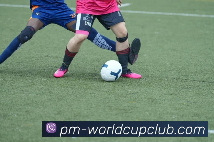 世界杯体育投注平台生态图